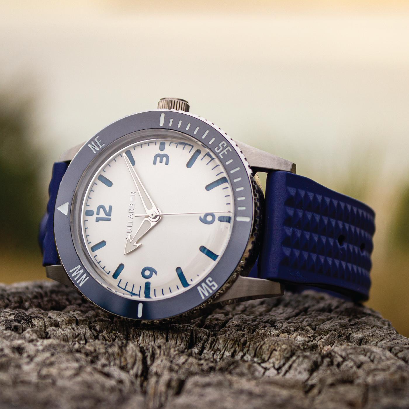 Nullarbor Watch