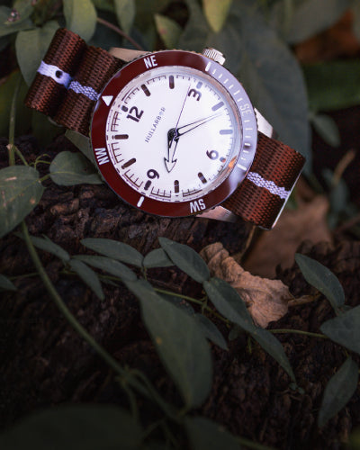 Nullarbor Watch