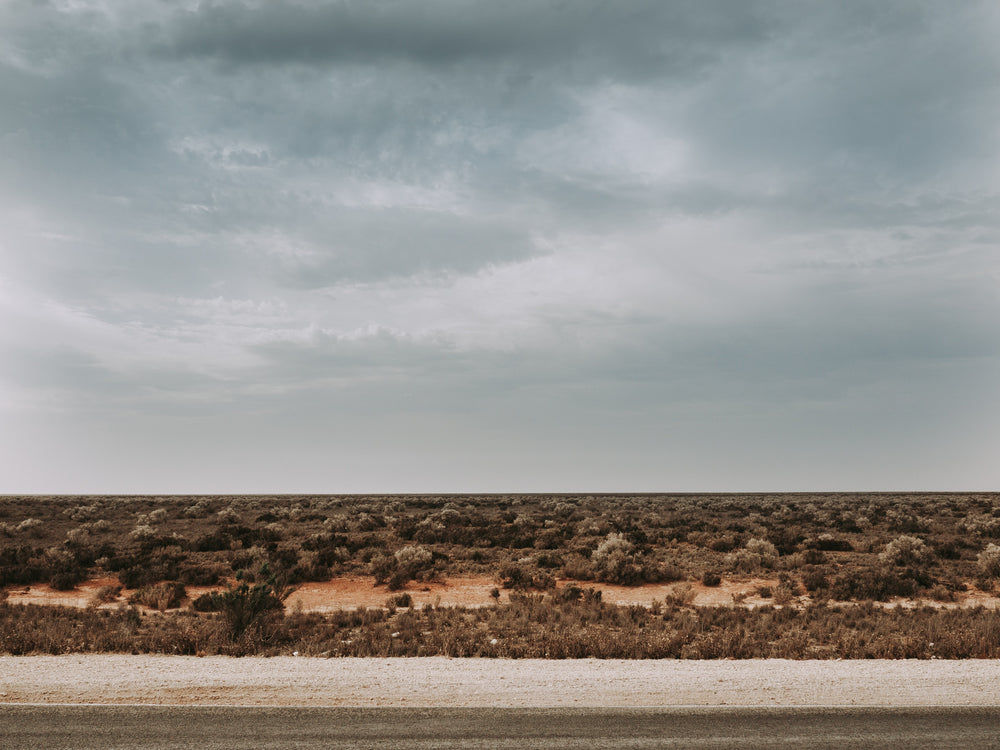 Nullarbor Watch