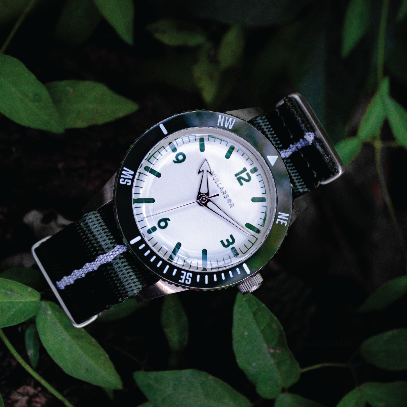 Nullarbor Watch